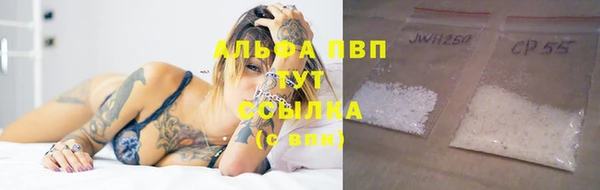 винт Туринск