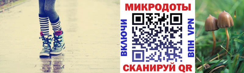 Купить закладки Можайск Псилоцибиновые грибы GOLDEN TEACHER